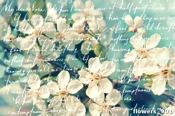 flowers_901