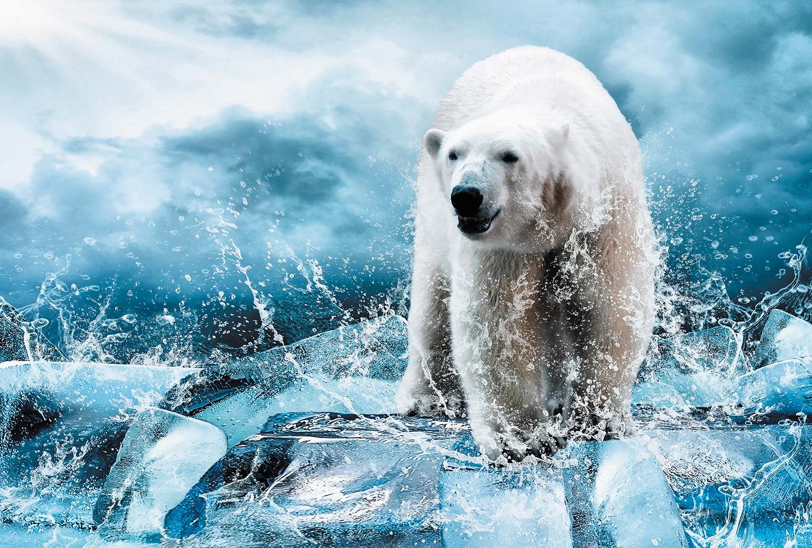 Фотообои Милан 606 "Медведь во льдах" (200х135см)