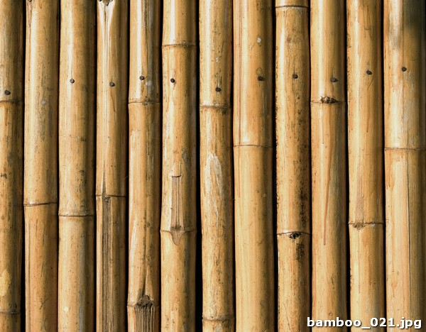 bamboo_021