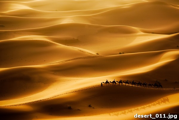desert_011