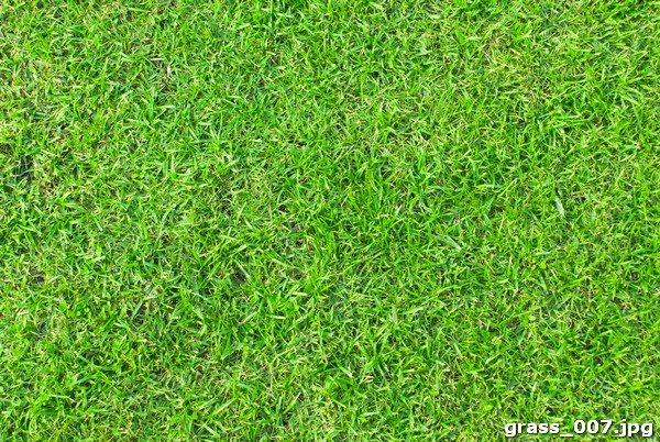 grass_007